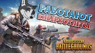 ЭТО ЧТО?! PUBG НА КАНАЛЕ?!  PUBG: BATTLEGROUNDS  РАБОТАЮТ КИБЕРКОТЛЕТЫ