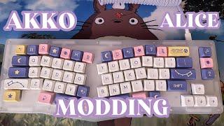 akko acr pro alice plus cozy modding session´ﾟ*｡⋆¨»