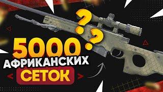 КУПИЛ 5000 AWP | Африканская Сетка в КС 2. Попались ДОРОГИЕ НАКЛЕЙКИ KATOWICE 2014 и ФЛОАТ ТОП-150