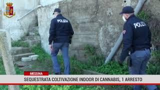 Messina. Sequestrata coltivazione indoor di cannabis, 1 arresto