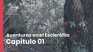 Aventuras en el esclerófilo - Capítulo N°1 "Valeria explora el bosque esclerófilo"