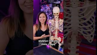 Make Halloween Store Skeletons Way Better!  #shorts