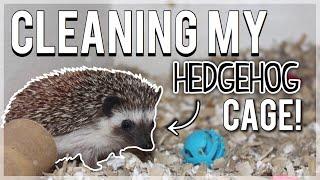 Cleaning My HEDGEHOG CAGE! + Cage Tour | Hedgehog Care