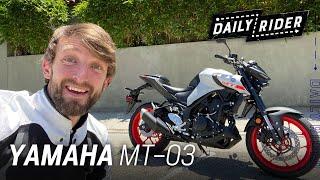 2020 Yamaha MT-03 Review | Daily Rider