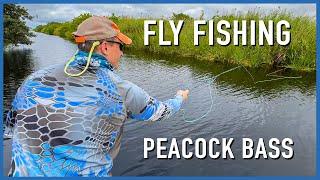 Fly Fishing Charter For Peacock Bass