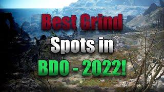 Top 10 Grind Spots in BDO - 2022