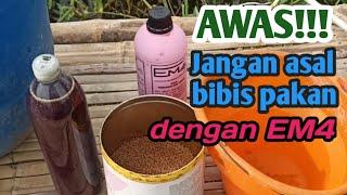 Cara bibis pelet ikan nila pakan ikan nila