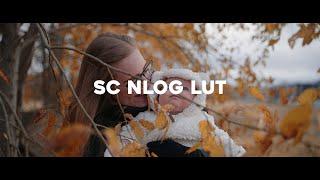 Nikon NLOG to Rec709 Conversion | SC LUTs