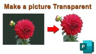 How to make a picture transparent in Publisher