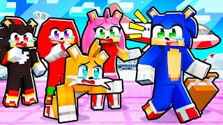 Sonic Is MOVING AWAY In Minecraft!