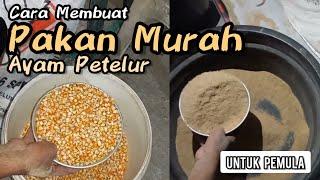 MEMBUAT PAKAN AYAM PETELUR MURAH, SOLUSI PETERNAK PEMULA KARENA HARGA PAKAN JADI NAIK TERUS.