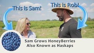 Sassy G's Sam, and her Permaculture Haskap HoneyBerries at Blas Berry Orchards
