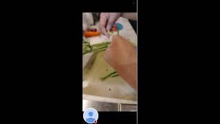 Roshan Rohan vlog's  is live!. #asmr #love cutting vegetables #viral #video #asmr #satisfying