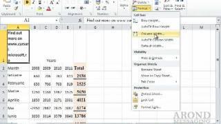 Using Excel 2010 - Wrap Text Within a Cell