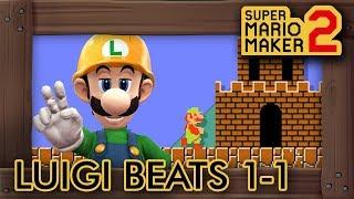 Super Mario Maker 2 - Luigi Beats 1-1 Forwards & Backwards (And Does Nothing)