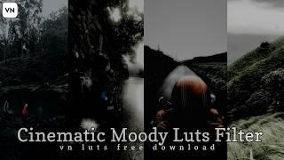 Natural Cinematic Moody Look — Colour Grading Filter For Vn Editor | 10 Moody LUTs For Free | Vn Lut