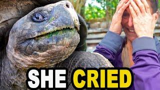 Mom Cries Seeing Ginormous Tortoise!
