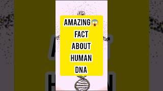 Amazing Facts about human DNA #dna  #biology #facts #shortvideo #viralshorts