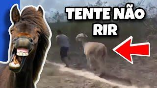 TENTE NÃO RIR: OS MELHORES VÍDEOS DA INTERNET #tentenaorir #videosengraçados #tiktok ##like #comedia