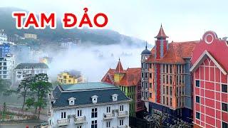 Tam Dao travel experience from A-Z - The Best Way
