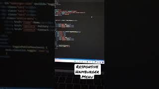 Responsive hamburger menu html css only