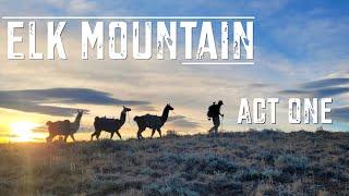 HUNTING BULLS IN THE HIGH AND WILD: ELK MOUNTAIN