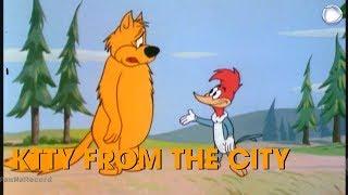 Woody Woodpecker in Kitty From the City | A Walter Lantz Production