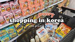 shopping in korea vlog  grocery food haul  fruits, snacks, making summer dessert