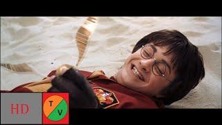 Quidditch -Harry Potter and the Chamber of Secrets