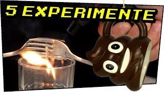 5 Experimente die jeder zuhause nachmachen kann! - Experimente zum Nachmachen #108