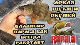 Вот это рыбалка На балансир Rapala Первый лёд 2023 Ловля щуки и окуня отличная рыбалка леска трещит