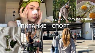 VLOG : утро в лесу, уход за собой *aesthetic* // правильное питание, спорт ️