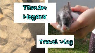 School Trip Travel Vlog (Taman Negara)