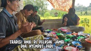 TRADISI UNIK DI PELOSOK JAMBI || Doa Nyemput Padi #tabir #merangin #jambi