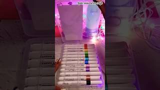 Acrylic painting with markers | Flair Acrylic  Markers | Useful stationery | Paint on any surface