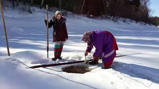 Жизнь в лесу, рыбалка, женщины знают своё дело. Ч №1/Khanty. Fishing, women know their job. Part № 1