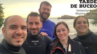 Tarde de buceo en Marina del Este