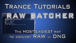 Tutorial: RAW Batcher (RAW to DNG most easiest way)