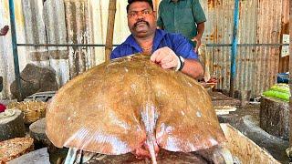 KASIMEDU  SPEED SELVAM | BUTTERFLY RAY FISH CUTTING VIDEO | IN KASIMEDU | FF CUTTING 