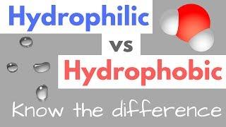 Hydrophilic vs Hydrophobic | Substances | Cell Membranes