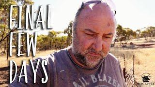 Surgery chat & last jobs on the homestead before Corey's recovery break | Aussie Off-grid Homestead