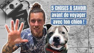 VOYAGER AVEC SON CHIEN | 5 CHOSES A SAVOIR