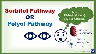 21: Sorbitol or Polyol Pathway | Carbohydrate Metabolism | Biochemistry | N'JOY Biochemistry