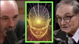 Joe Rogan - Mathematician on Trying to Measure Consciousness