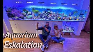 Ein natürliches 1800 Liter MEERWASSER Aquarium in NRW | Zu Besuch bei der Mama der 1000 Clownfische.