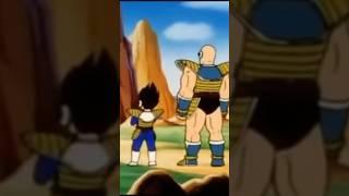 Shut Up Nappa  #trending #anime #viral #dbz #abridged #vageta