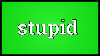 Stupid Meaning