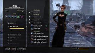 ESO: Dominating, simple Necro build with no mythic, or arena weapon (traits and weights not optimal)