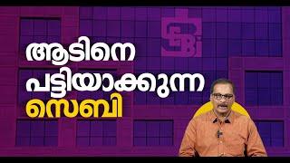 ആടിനെ പട്ടിയാക്കുന്ന സെബി | SEBI Hindenburg Notice | Business Decode