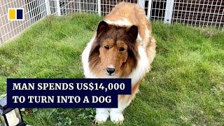 Japanese man spends US$14,000 to turn himself into a dog